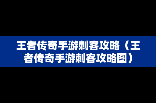 王者传奇手游刺客攻略（王者传奇手游刺客攻略图）