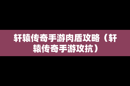 轩辕传奇手游肉盾攻略（轩辕传奇手游攻抗）