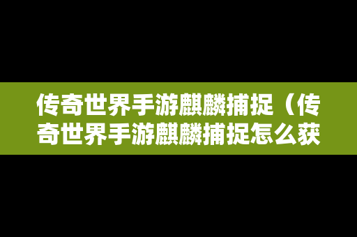 传奇世界手游麒麟捕捉（传奇世界手游麒麟捕捉怎么获得）