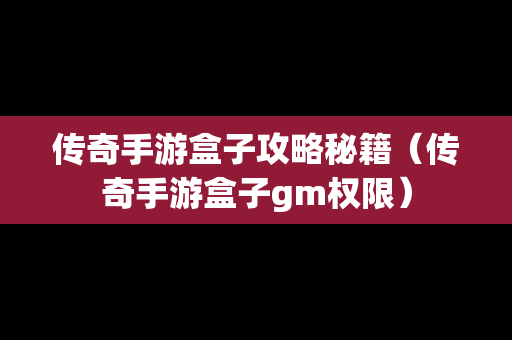 传奇手游盒子攻略秘籍（传奇手游盒子gm权限）