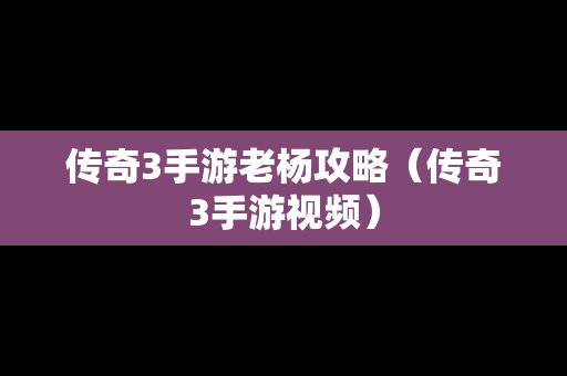 传奇3手游老杨攻略（传奇3手游视频）