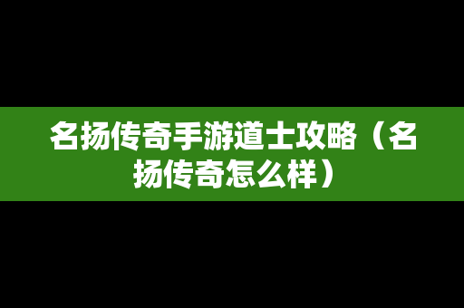 名扬传奇手游道士攻略（名扬传奇怎么样）