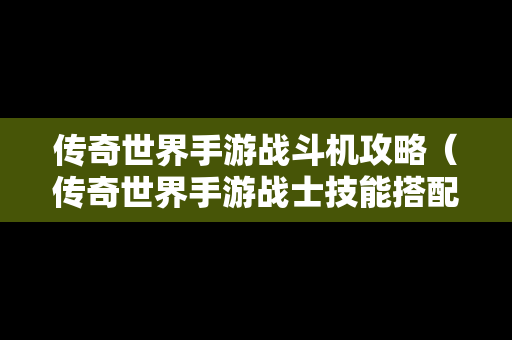 传奇世界手游战斗机攻略（传奇世界手游战士技能搭配图）