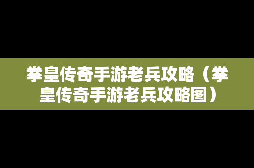 拳皇传奇手游老兵攻略（拳皇传奇手游老兵攻略图）