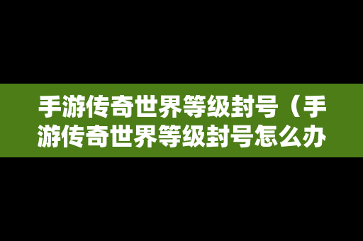 手游传奇世界等级封号（手游传奇世界等级封号怎么办）