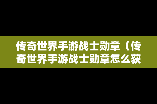 传奇世界手游战士勋章（传奇世界手游战士勋章怎么获得）