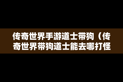 传奇世界手游道士带狗（传奇世界带狗道士能去哪打怪）