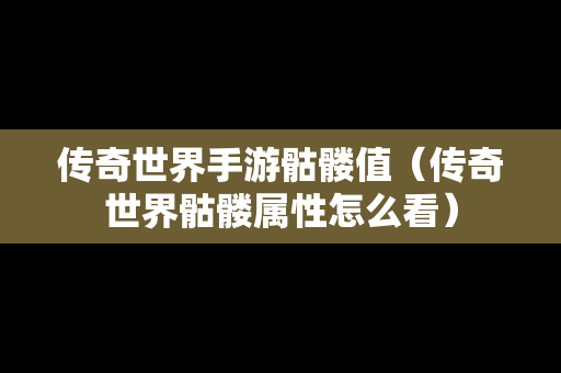 传奇世界手游骷髅值（传奇世界骷髅属性怎么看）