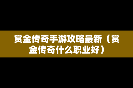 赏金传奇手游攻略最新（赏金传奇什么职业好）