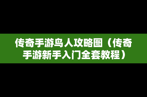 传奇手游鸟人攻略图（传奇手游新手入门全套教程）