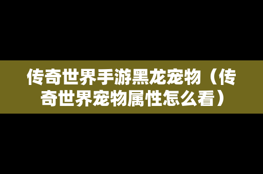 传奇世界手游黑龙宠物（传奇世界宠物属性怎么看）