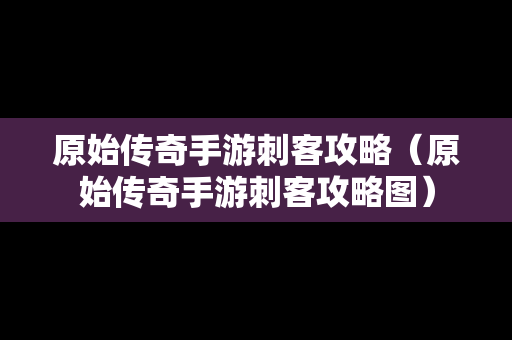 原始传奇手游刺客攻略（原始传奇手游刺客攻略图）