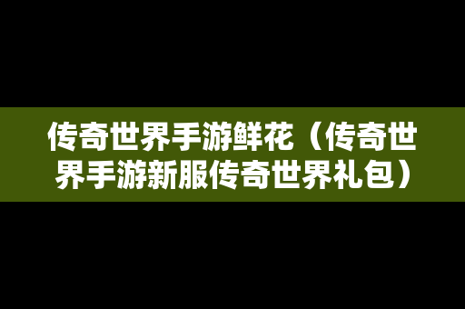 传奇世界手游鲜花（传奇世界手游新服传奇世界礼包）