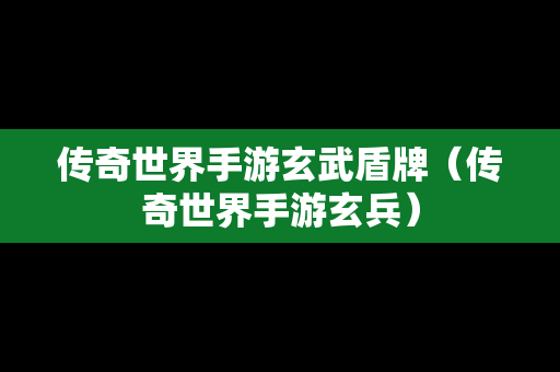 传奇世界手游玄武盾牌（传奇世界手游玄兵）