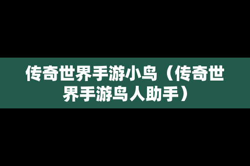 传奇世界手游小鸟（传奇世界手游鸟人助手）