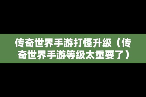 传奇世界手游打怪升级（传奇世界手游等级太重要了）