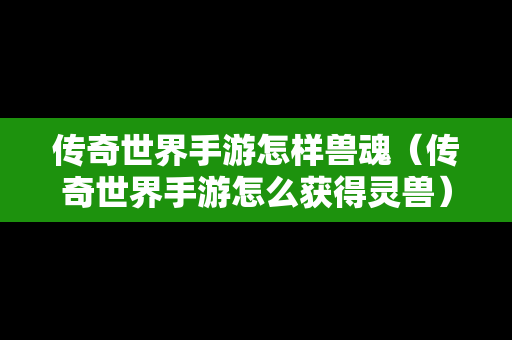 传奇世界手游怎样兽魂（传奇世界手游怎么获得灵兽）