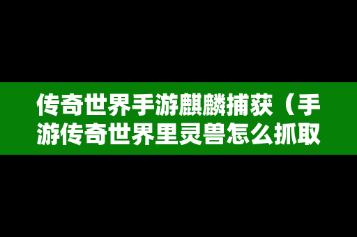 传奇世界手游麒麟捕获（手游传奇世界里灵兽怎么抓取）