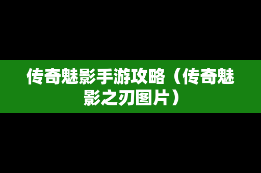 传奇魅影手游攻略（传奇魅影之刃图片）