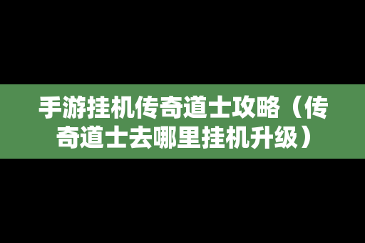 手游挂机传奇道士攻略（传奇道士去哪里挂机升级）