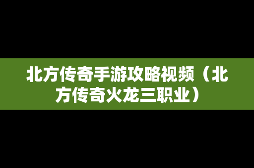 北方传奇手游攻略视频（北方传奇火龙三职业）