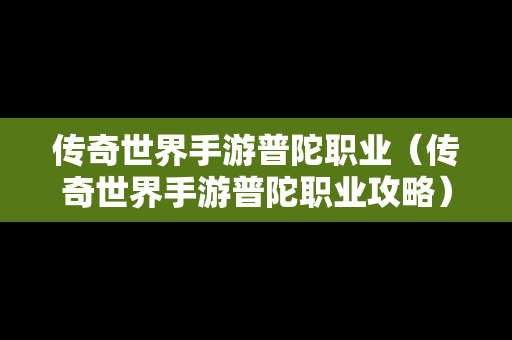 传奇世界手游普陀职业（传奇世界手游普陀职业攻略）