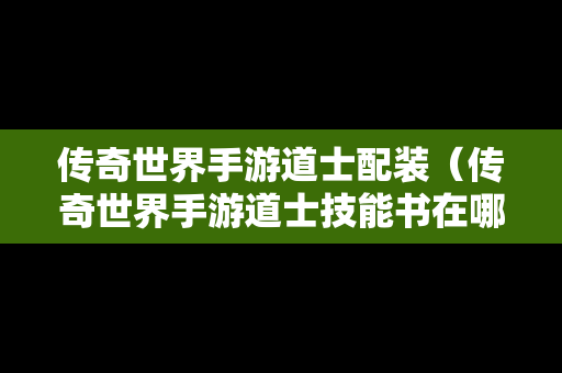 传奇世界手游道士配装（传奇世界手游道士技能书在哪打）