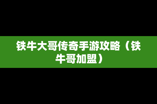 铁牛大哥传奇手游攻略（铁牛哥加盟）