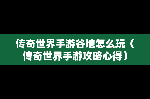 传奇世界手游谷地怎么玩（传奇世界手游攻略心得）