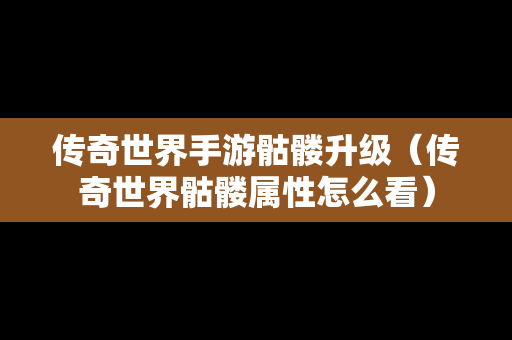 传奇世界手游骷髅升级（传奇世界骷髅属性怎么看）