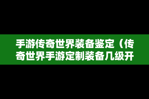 手游传奇世界装备鉴定（传奇世界手游定制装备几级开放）