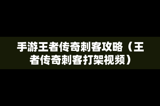 手游王者传奇刺客攻略（王者传奇刺客打架视频）